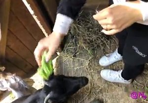 Bubble butt babe gets fucked in POV, from behind